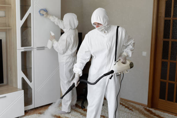 Affordable Sewage Cleanup solutions in Muir, MI